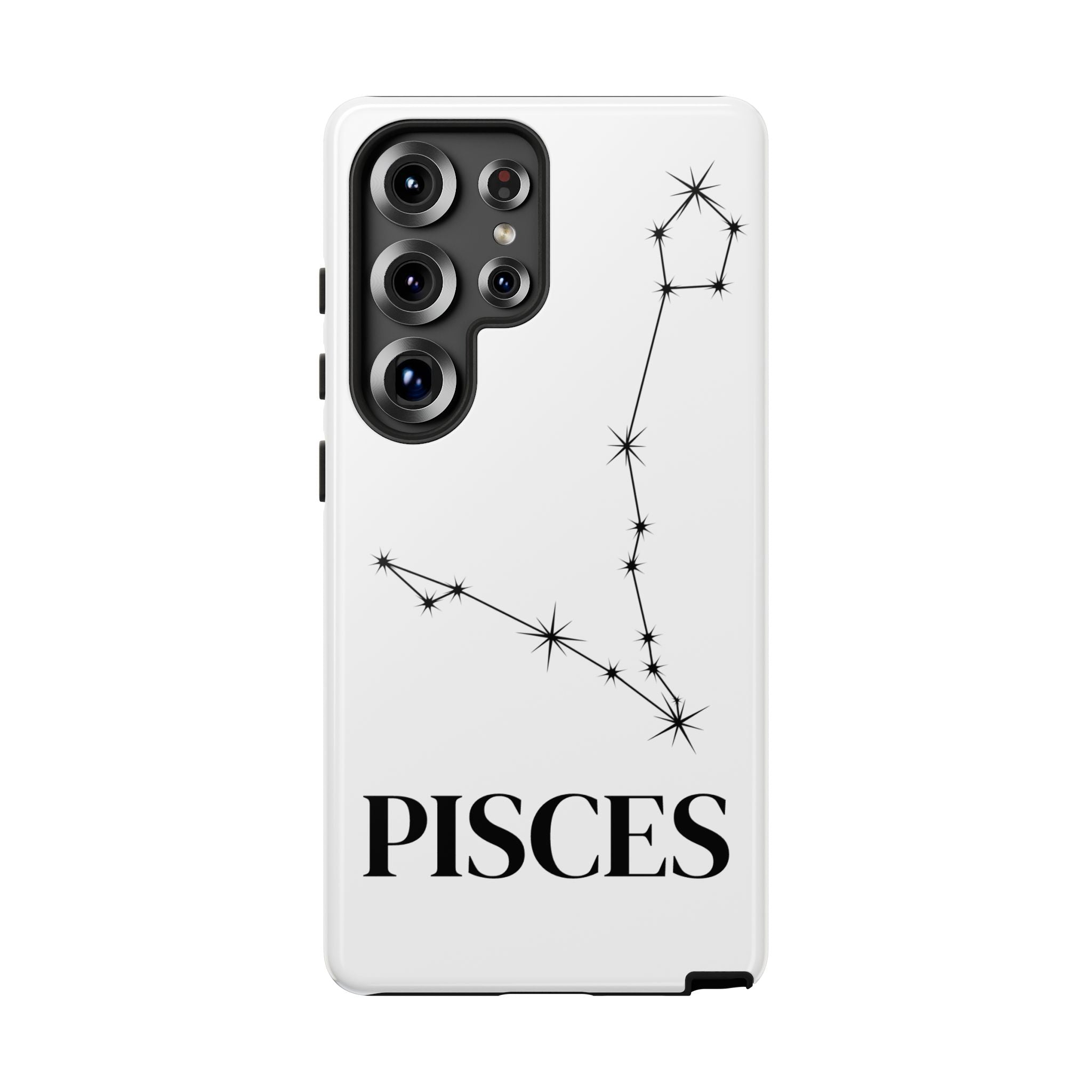 Cover Segno Pesci