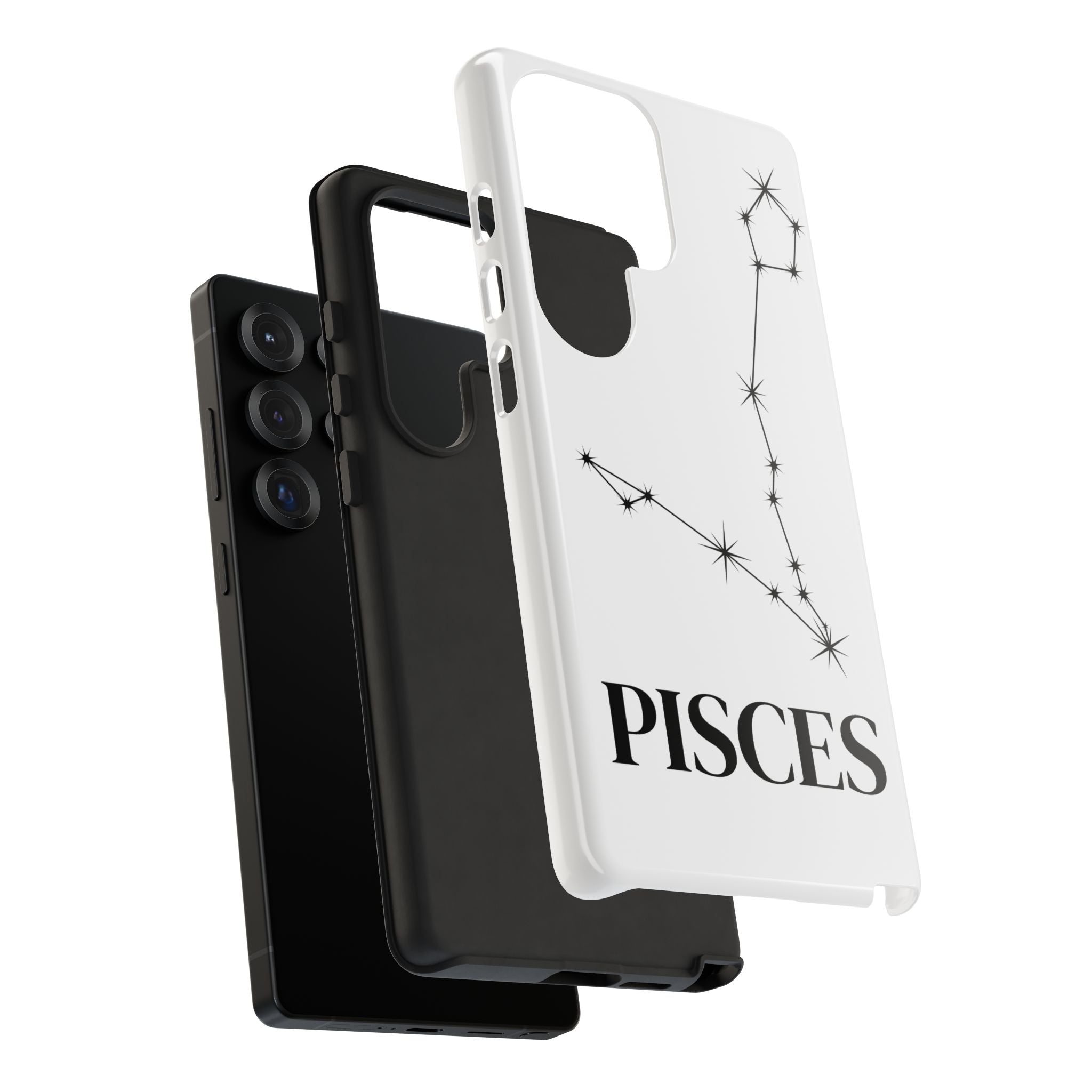 Cover Segno Pesci
